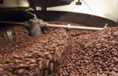 祕魯亞妮莎水洗 G1 咖啡豆風味描述 祕魯產什麼咖啡