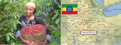 Casa卡薩衣索比亞耶加雪菲濾掛式咖啡價格貴嗎？濾掛式咖啡特點