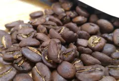尼加拉瓜拉帕望娜莊園水洗咖啡生豆價格 SHG烘焙咖啡豆風味