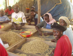 衣索比亞耶加雪菲丘壩村G3咖啡處理 耶加雪菲紅櫻桃計劃咖啡風味