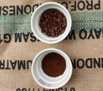瓜地馬拉法漢尼斯諾亞莊園咖啡豆故事 鐵皮卡蜜處理咖啡豆風味