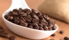 哥倫比亞雪峯產地Sierra Nevada山脈咖啡豆風味 雪峯SHG咖啡豆價