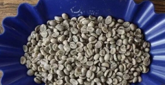 巴西喜拉朵產區阿凱亞種日曬處理咖啡口感特點 烘培豆阿凱亞價格