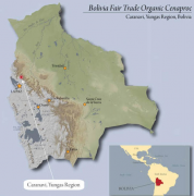 玻利維亞卡拉那維公平交易協會有機咖啡豆處理方式 國內咖啡豆市