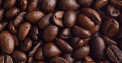 衣索匹亞野薑花4水洗咖啡豆杯測報告 Butucha處理廠咖啡豆風味