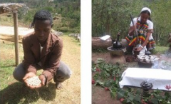 衣索比亞西達摩可瑞特水洗處理G1咖啡豆介紹 杯測風味描述