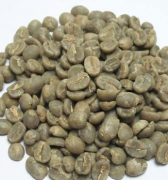 哥斯大黎塔布蘭卡產區裏瓦斯人處理廠黑蜜處理咖啡豆味道如何