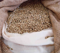 世界十大昂貴藝妓咖啡豆的來歷和獲獎記錄 中國能種嗎