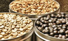 衣索比亞日曬西達摩谷吉產區伊谷峇雅處理廠G1咖啡豆風味描述