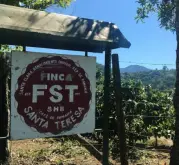 巴拿馬聖特蕾莎莊園蜜處理咖啡好喝嗎 FST咖啡SHB質量獨特之處