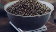衣索比亞咖啡註冊商標類別 星巴克埃塞俄比亞咖啡價格介紹