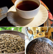 哥斯大黎加神花莊園藝伎水洗咖啡與日曬波旁圓豆咖啡風味區別