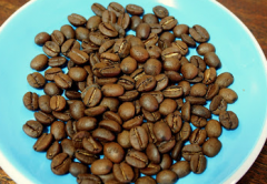 Robusta是什麼咖啡  印尼羅姆斯達種咖啡豆特點介紹風味描述