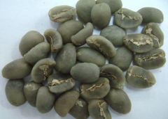 綠迪諾咖啡豆產自哪裏 印尼綠迪諾咖啡豆日曬阿拉比卡咖啡風味