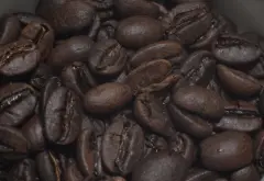 哥斯大黎加Canet咖啡豆產量 內特莊園音樂家巴哈葡萄乾蜜處理風味