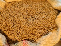 烏干達西尼羅河咖啡產區 西尼羅河AA咖啡處理法杯測風味描述特點
