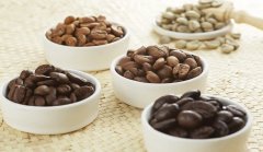 什麼類型的咖啡含咖啡因最多 星巴克新鮮滴濾咖啡的咖啡因含量