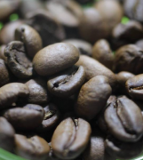 蘇門答臘曼特寧咖啡新莊園Togos Gopas咖啡豆溼剝式處理法介紹