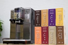 飛利浦saeco咖啡機推薦意式全自動HD8921 咖啡機能製作什麼咖啡