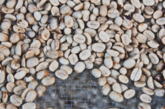 阿里山咖啡愛情故事 阿里山芙娜莊園天然原味咖啡豆味道怎麼樣