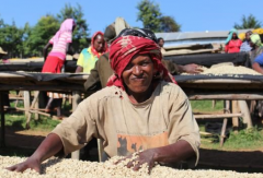 衣索比亞摩卡豆手選特點 亞靼垛合作社河洛小農日曬咖啡豆介紹