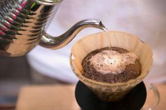 臺灣咖啡適宜的咖啡烘焙曲線 75/85完美曲線使咖啡風味香味更好