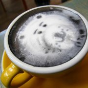 真正的黑咖啡 英國和澳洲咖啡館的歌德拿鐵 活性炭咖啡拉花藝術