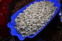瓜地馬拉咖啡豆 美景莊園日曬與莫里託莊園水洗咖啡豆風味區別特