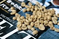 咖啡豆種類 曼特寧/藍山/哥倫比亞/摩卡/巴西聖多斯咖啡豆介紹