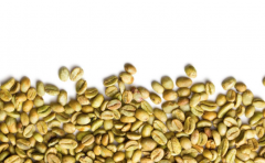 肯尼亞咖啡豆祈安布產區 瓦馬谷馬莊園AB級咖啡風味特點描述