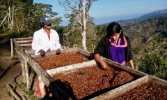 巴西Fazenda Lagoa咖啡莊園故事 咖啡種植品種咖啡風味口感如何