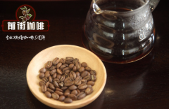 世界咖啡品牌排行 雅各布咖啡怎麼樣 雀巢咖啡屬於什麼咖啡