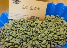 哥斯達黎加塔拉珠Tarrazu咖啡豆 咖啡加工的環境影響口感風味描述