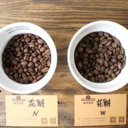 哥倫比亞慧蘭產區咖啡豆與衣索比亞原生種咖啡豆水洗風味描述特點
