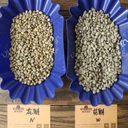 衣索比亞古吉水洗原生種與衣索比亞水洗 Chelelektu咖啡風味描述
