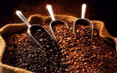 咖啡爲什麼要烘焙 咖啡烘焙前後發生哪些變化 咖啡烘焙程度哪個好
