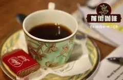 越南咖啡是什麼品種 越南咖啡產量世界排名 越南咖啡種植面積