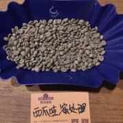 咖啡豆名稱有哪些 咖啡栽培技術與採收 咖啡處理法挑選杯測特點