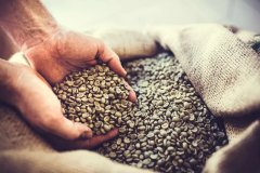 巴西咖啡產區 Fazenda Passeio咖啡口感風味 咖啡農場種植介紹