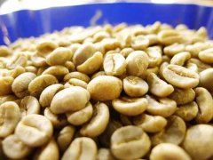 新手如何選擇咖啡豆 咖啡豆的價格貴嗎 咖啡豆的保存方式介紹