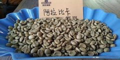 咖啡品種有哪些 咖啡屬生長條件 阿拉比卡咖啡與羅布斯塔咖啡介紹