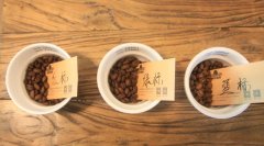 咖啡消費者的需求是什麼 咖啡店消費者分析 一杯手衝咖啡需多久