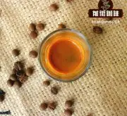 哥斯達黎加塔拉珠咖啡種植的有利條件 SHG特硬咖啡豆處理法特點