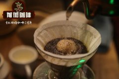 巴西咖啡雜交品種新世界100%Mundo Novo風味 巴西咖啡處理法