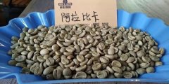 羅布斯塔咖啡因含量是阿拉比卡咖啡因的兩倍嗎 羅布斯塔種植地