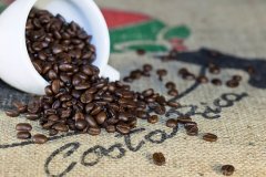 咖啡研磨度 土耳其咖啡研磨度 法壓壺咖啡豆粗細 滴濾咖啡研磨度