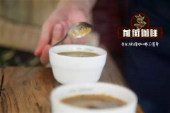 危地馬拉咖啡豆 危地馬拉的咖啡歷史 深烘焙SHB咖啡豆風味特點
