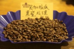 咖啡產區區域性風味 非洲/亞洲/中南美洲咖啡代表咖啡典型風味