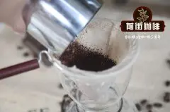 哥倫比亞MEDELLIN咖啡 哥倫比亞高級生豆風味評測 火山咖啡味道