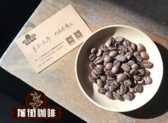 淺烘焙咖啡豆品種 咖啡深度烘培營養流失嗎 中烘焙咖啡豆口感風味